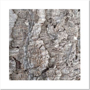 Cork Oak Tree Bark Texture 3 Posters and Art